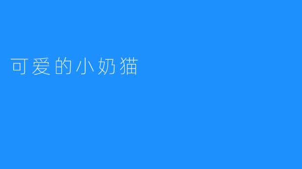 可爱的小奶猫