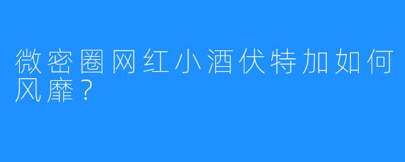 微密圈网红小酒伏特加如何风靡？