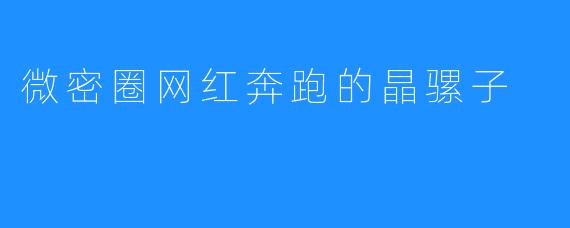 微密圈网红奔跑的晶骡子