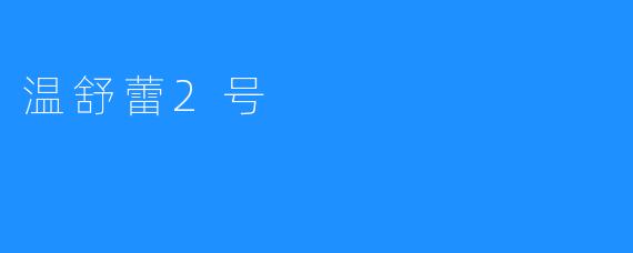 全新温舒蕾2号，打造极致舒适体验