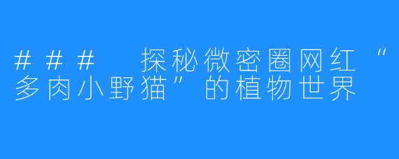 ### 探秘微密圈网红“多肉小野猫”的植物世界
