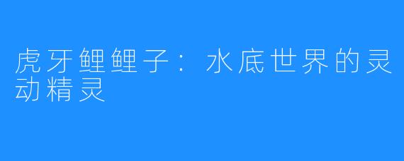 虎牙鲤鲤子：水底世界的灵动精灵