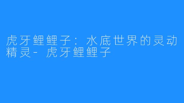 虎牙鲤鲤子：水底世界的灵动精灵-虎牙鲤鲤子