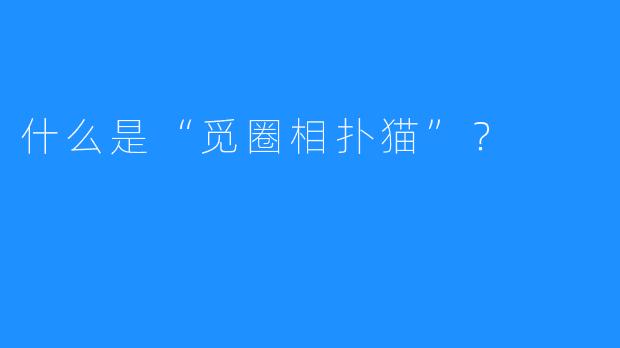 什么是“觅圈相扑猫”？