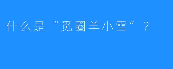 什么是“觅圈羊小雪”？