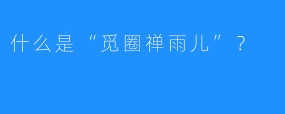 什么是“觅圈禅雨儿”？