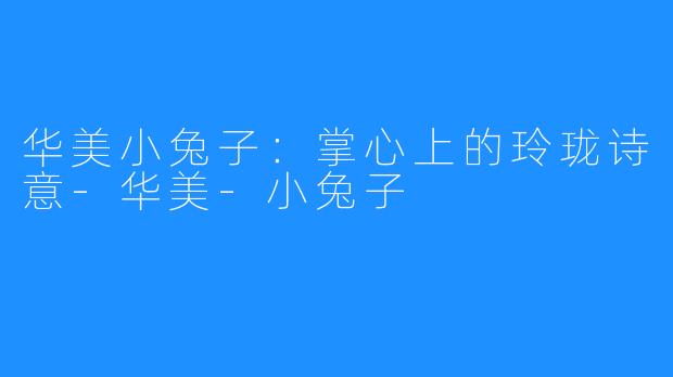 华美小兔子：掌心上的玲珑诗意-华美-小兔子