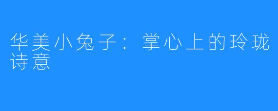 华美小兔子：掌心上的玲珑诗意