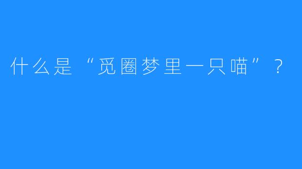 什么是“觅圈梦里一只喵”？