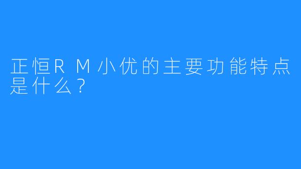 正恒RM小优的主要功能特点是什么？
