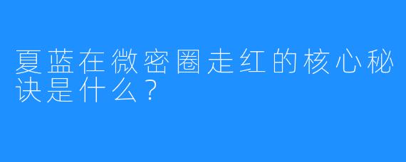 夏蓝在微密圈走红的核心秘诀是什么？