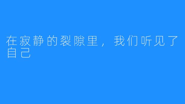 在寂静的裂隙里，我们听见了自己