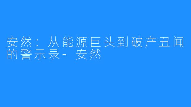 安然:从能源巨头到破产丑闻的警示录-安然
